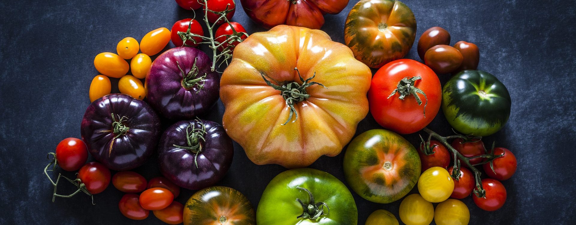Top view of a dark background filled with a large variety of multi colored ripe tomatoes. DSRL studio photo taken with Canon EOS 5D Mk II and Canon EF 100mm f/2.8L Macro IS USM